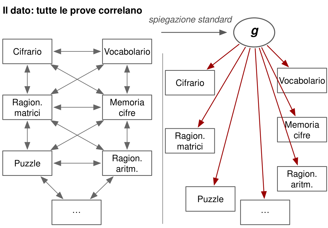 Due pannelli con le stesse prove in riquadri: cifrario, vocabolario, ragionamento con matrici, memoria di cifre, puzzle, ragionamento aritmetico e altre prove indicate con puntini. Nel primo, intitolato il dato, le prove sono collegate fra loro da molte frecce doppie grigie. Una freccia etichettata spiegazione standard porta al secondo pannello, dove un ovale g in alto manda una freccia rossa a ciascuna prova e le prove non sono collegate fra loro.