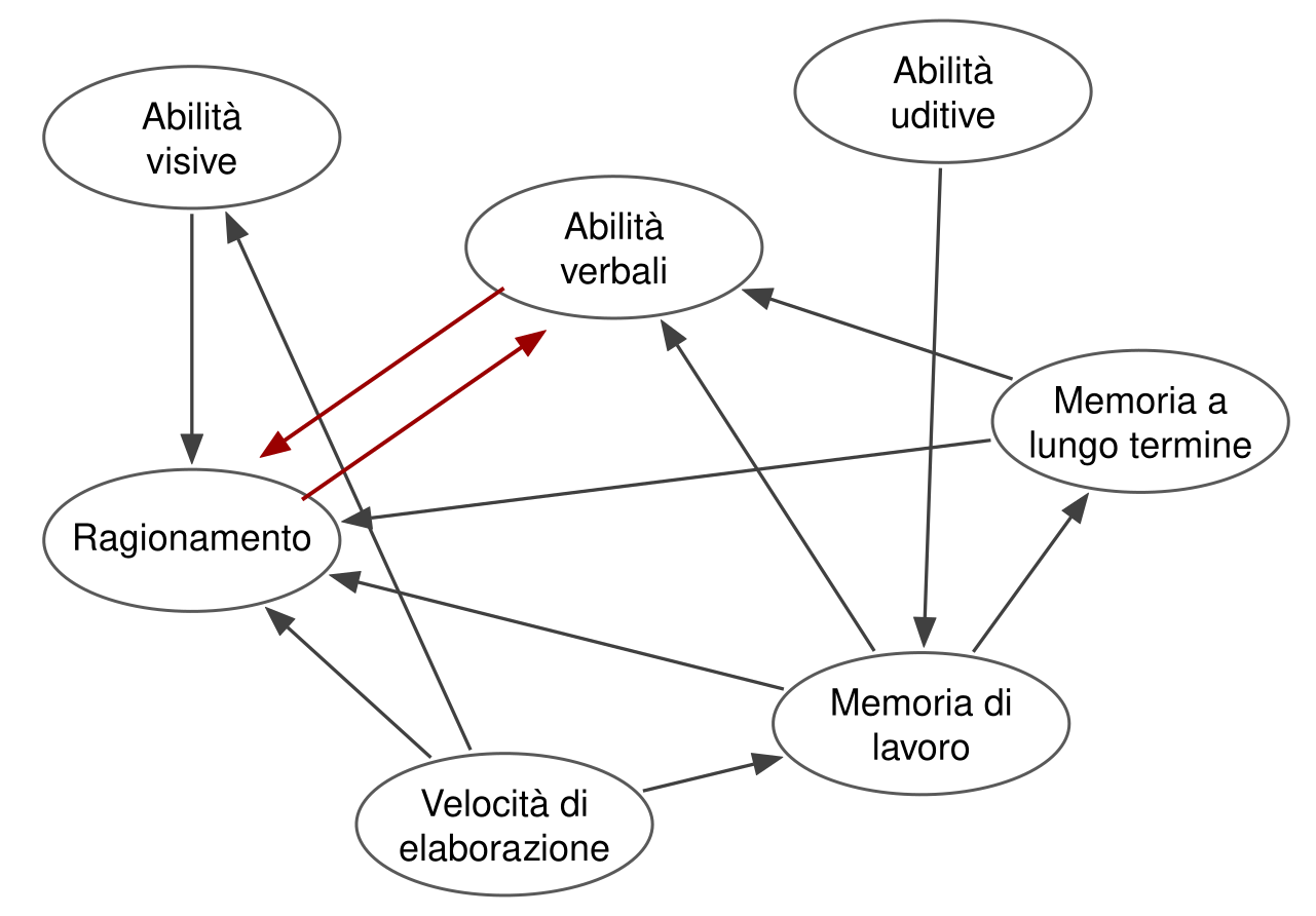 Rete di sette ovali: abilità visive, abilità verbali, abilità uditive, memoria a lungo termine, ragionamento, memoria di lavoro, velocità di elaborazione. Frecce grigie collegano molte coppie: per esempio le abilità visive influenzano il ragionamento, la velocità di elaborazione influenza abilità visive, ragionamento e memoria di lavoro, le abilità uditive influenzano la memoria di lavoro, che a sua volta influenza ragionamento, abilità verbali e memoria a lungo termine. Due frecce rosse uniscono in entrambe le direzioni abilità verbali e ragionamento.