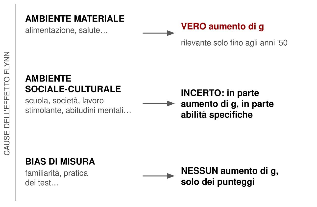 Tre righe, accanto alla scritta verticale cause dell'effetto Flynn. Ambiente materiale (alimentazione, salute) porta, con una freccia, a un vero aumento di g, rilevante però solo fino agli anni Cinquanta. Ambiente sociale e culturale (scuola, società, lavoro stimolante, abitudini mentali) porta a un esito incerto: in parte aumento di g, in parte un insieme di abilità specifiche. Bias di misura (familiarità e pratica con i test) porta a nessun aumento di g, solo dei punteggi.