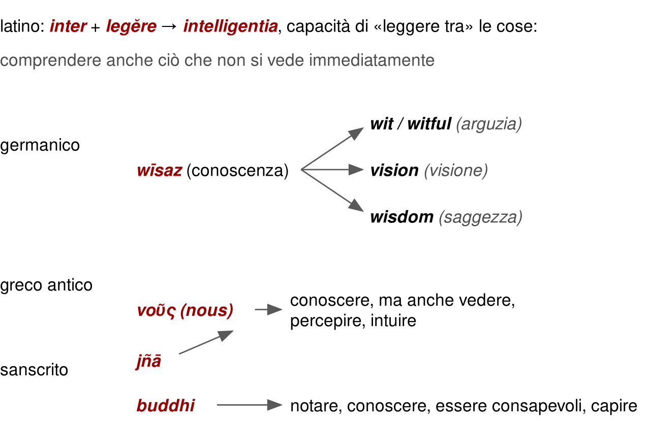 Schema testuale con frecce. Latino: inter più legere dà intelligentia, la capacità di leggere tra le cose. Germanico: wisaz, conoscenza, dà wit o witful, arguzia, vision, visione, e wisdom, saggezza. Greco antico: nous, conoscere ma anche vedere, percepire, intuire, a cui si collega il sanscrito jña. Sanscrito: buddhi, notare, conoscere, essere consapevoli, capire.