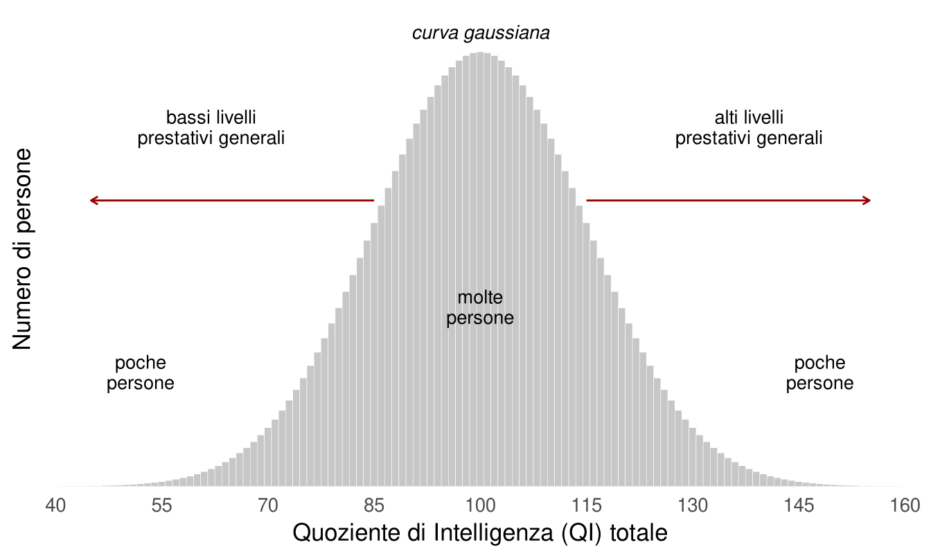Istogramma a barre grigie con forma a campana fra QI 40 e 160, massimo a 100. Al centro la scritta molte persone; nelle code poche persone. Due frecce partono dal centro: verso sinistra bassi livelli prestativi generali, verso destra alti livelli prestativi generali.
