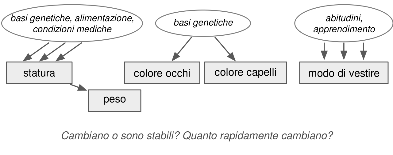 Tre gruppi. Nel primo, basi genetiche, alimentazione e condizioni mediche causano la statura, che a sua volta influisce sul peso. Nel secondo, le basi genetiche causano colore degli occhi e colore dei capelli. Nel terzo, abitudini e apprendimento causano il modo di vestire. In basso la domanda: cambiano o sono stabili, quanto rapidamente cambiano?