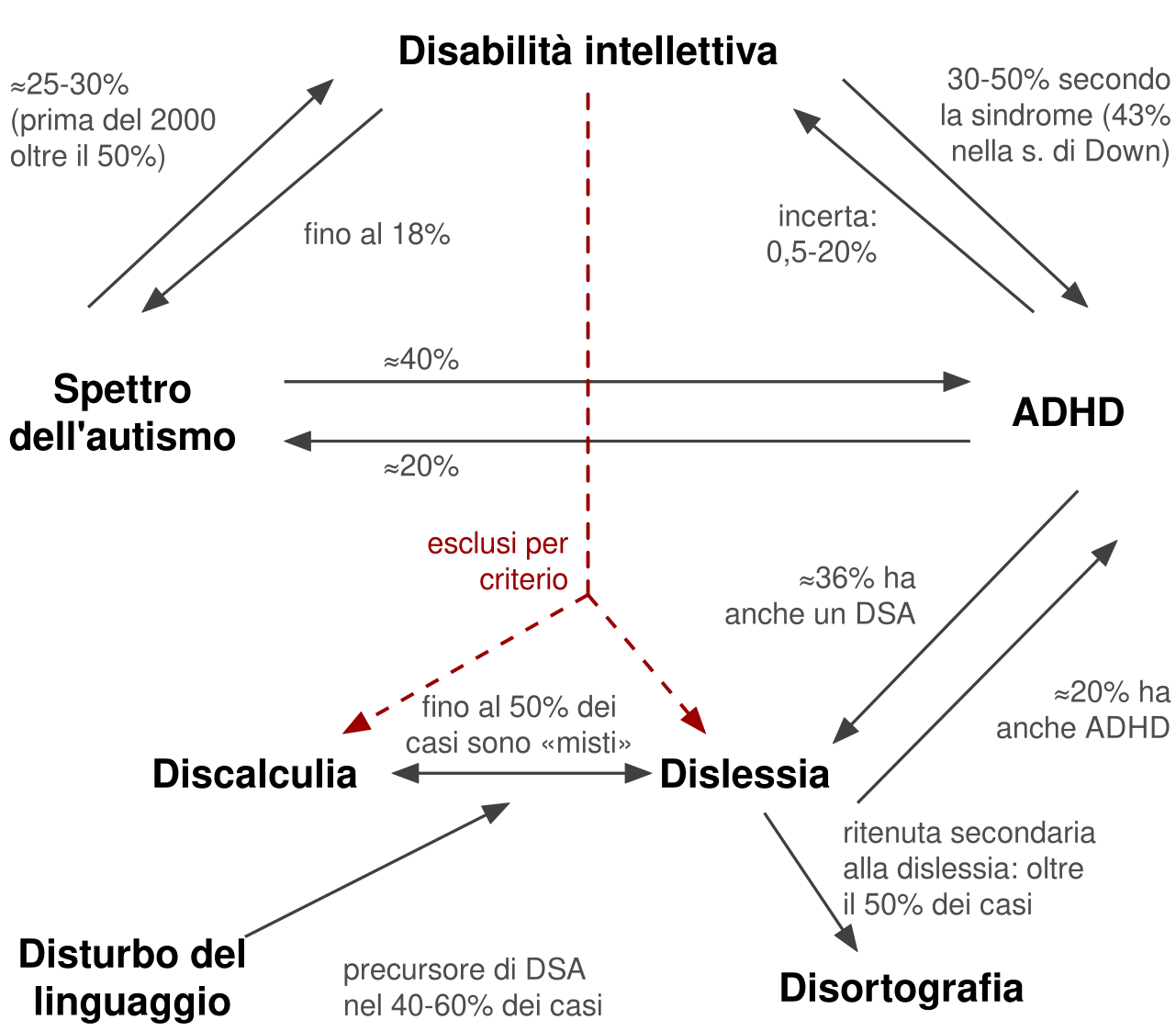 Schema con sette condizioni collegate da frecce con percentuali. Spettro dell'autismo verso disabilità intellettiva: circa 25-30%, oltre il 50% prima del 2000; disabilità intellettiva verso autismo: fino al 18%. Autismo verso ADHD: circa 40%; ADHD verso autismo: circa 20%. Disabilità intellettiva verso ADHD: 30-50% secondo la sindrome, 43% nella sindrome di Down; ADHD verso disabilità intellettiva: stima incerta, 0,5-20%. ADHD verso dislessia: circa il 36% ha anche un disturbo dell'apprendimento; dislessia verso ADHD: circa il 20%. Dislessia e discalculia: fino al 50% dei casi sono misti. Dislessia verso disortografia: oltre il 50% dei casi. Disturbo del linguaggio verso i disturbi dell'apprendimento: 40-60% dei casi. Una linea rossa tratteggiata unisce la disabilità intellettiva a dislessia e discalculia, con la scritta: esclusi per criterio.
