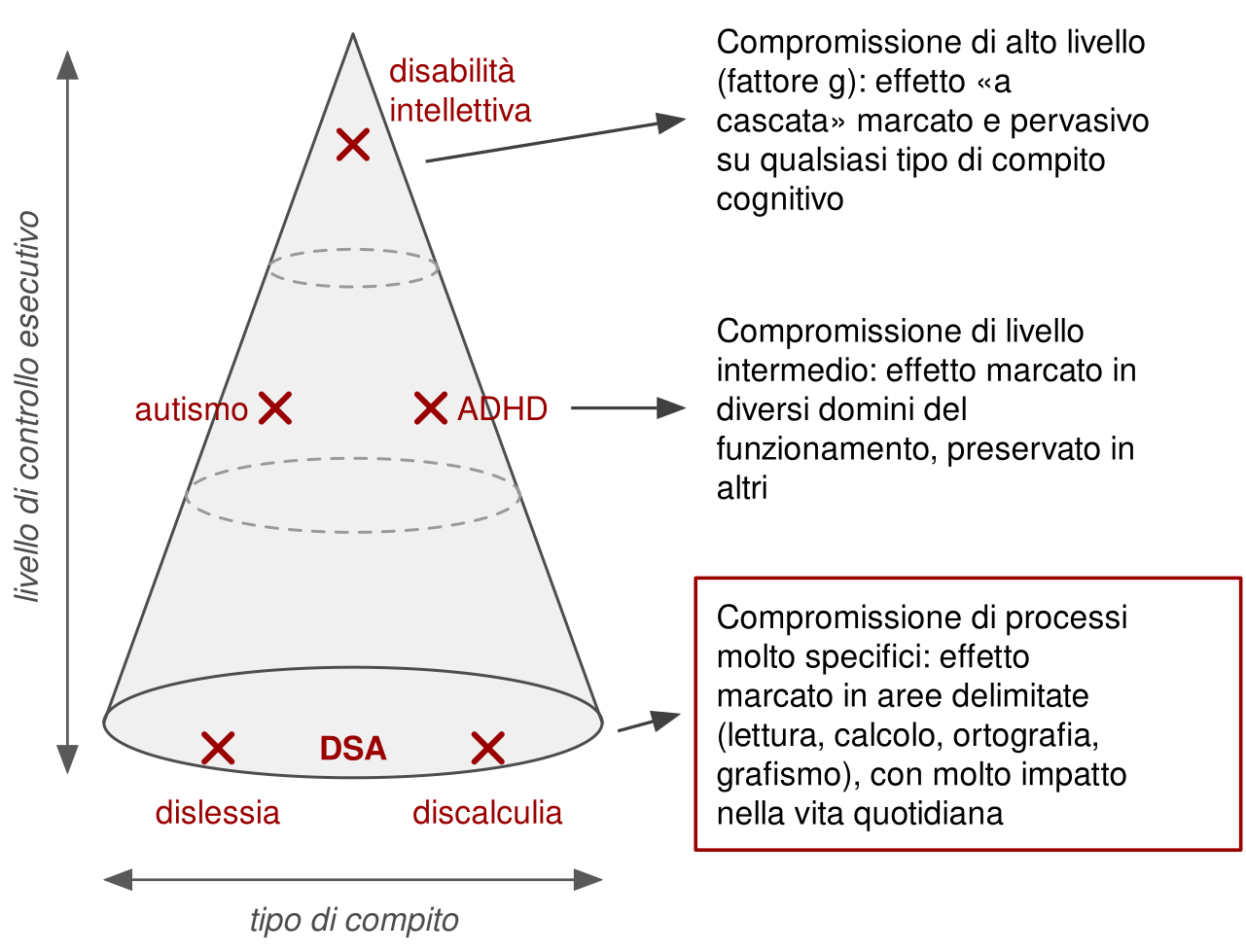 Un cono con la punta in alto. Vicino alla punta una croce rossa indica la disabilità intellettiva, a metà altezza due croci indicano autismo e ADHD, alla base due croci indicano dislessia e discalculia, raggruppate come DSA. Una freccia verticale indica il livello di controllo esecutivo, una orizzontale il tipo di compito. Tre frecce collegano i tre livelli del cono a tre descrizioni: compromissione di alto livello con effetto a cascata su qualsiasi compito; compromissione intermedia in diversi domini con altri preservati; compromissione di processi molto specifici, con forte impatto nella vita quotidiana, evidenziata in un riquadro rosso.