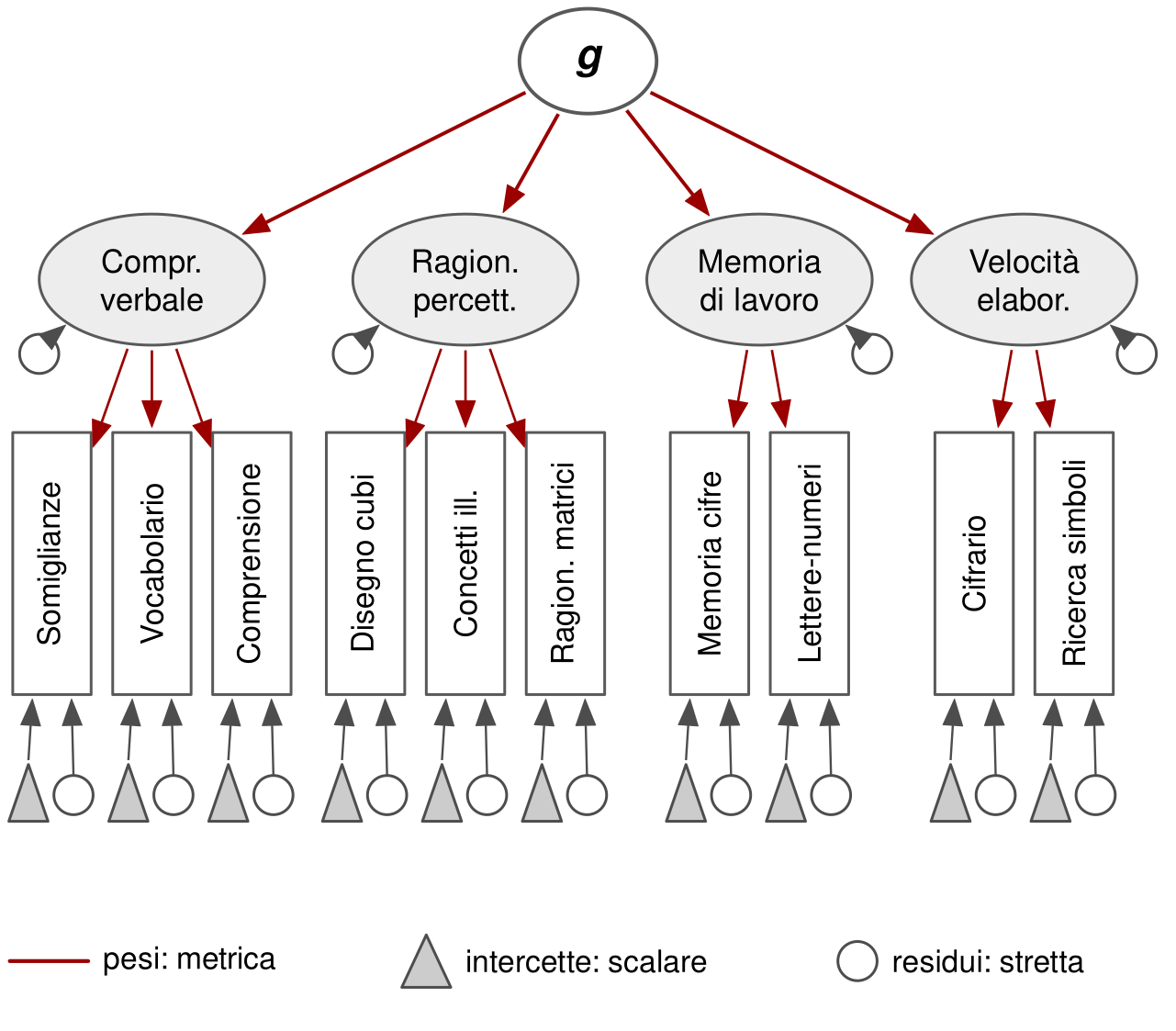 Un ovale g in alto collegato da frecce rosse a quattro ovali di indice: comprensione verbale, ragionamento percettivo, memoria di lavoro, velocità di elaborazione; accanto a ogni indice un piccolo cerchio indica la sua varianza residua. Ogni indice ha frecce rosse verso i suoi subtest, rettangoli con il nome scritto in verticale: somiglianze, vocabolario, comprensione; disegno con cubi, concetti illustrati, ragionamento con matrici; memoria di cifre, lettere e numeri; cifrario, ricerca di simboli. Sotto ogni subtest un triangolo indica l'intercetta e un cerchio la varianza residua, entrambi con una freccia verso il subtest. Una legenda associa frecce, triangoli e cerchi ai livelli metrico, scalare e stretto.