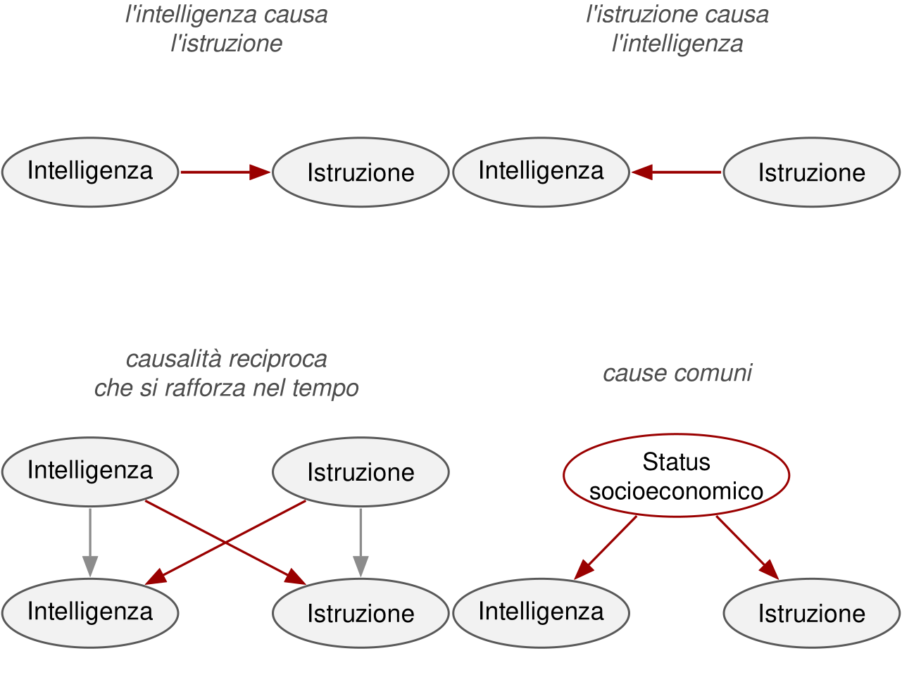 Quattro piccoli schemi. Nel primo una freccia va da intelligenza a istruzione; nel secondo da istruzione a intelligenza; nel terzo frecce in entrambe le direzioni, ripetute nel tempo; nel quarto lo status socioeconomico manda una freccia sia all'intelligenza sia all'istruzione.