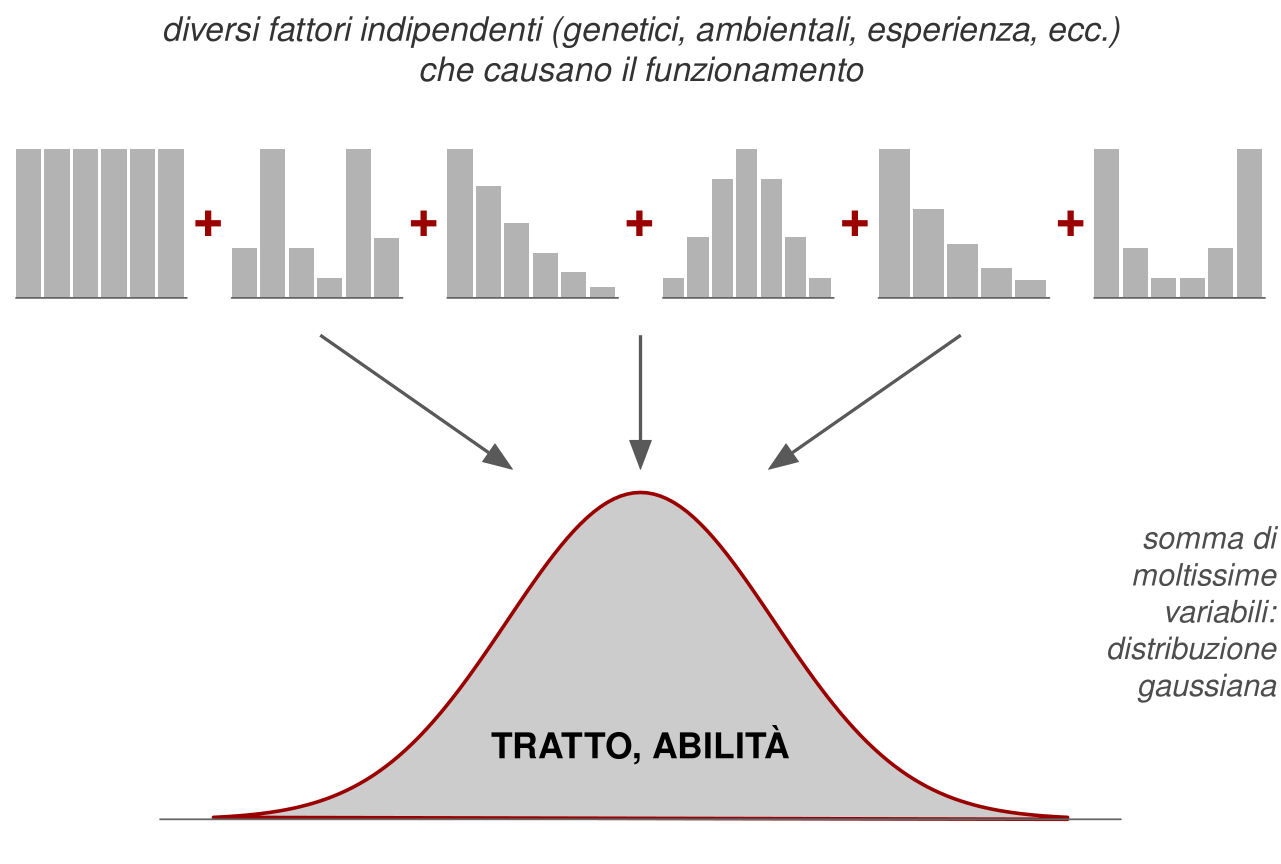 In alto la scritta diversi fattori indipendenti, genetici, ambientali, esperienza, che causano il funzionamento; sotto, sei piccoli istogrammi di forme diverse, collegati da segni più: uno piatto, uno con due picchi, uno asimmetrico verso destra, uno a campana, uno a barre decrescenti e uno a U. Tre frecce scendono verso una grande curva a campana grigia con la scritta tratto, abilità.