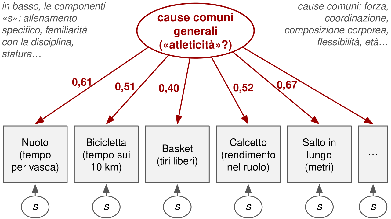 Un ovale in alto, cause comuni generali, atleticità, con frecce verso sei riquadri: nuoto, bicicletta, basket, calcetto, salto in lungo e puntini di sospensione, con pesi fra 0,40 e 0,67. Sotto ciascun riquadro un piccolo ovale s con una freccia verso il riquadro. Due note: le componenti s sono l'allenamento specifico, la familiarità con la disciplina, la statura; le cause comuni sono forza, coordinazione, composizione corporea, flessibilità, età.