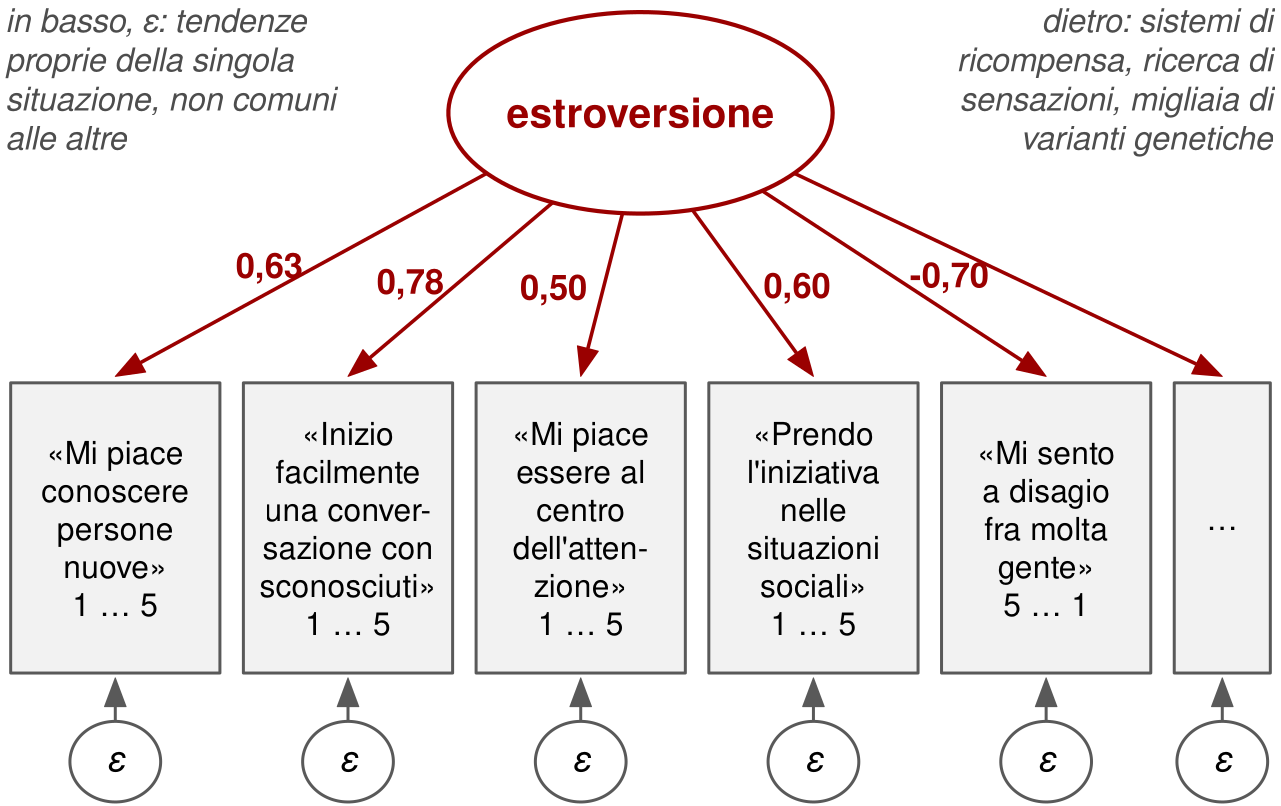 Un ovale in alto, estroversione, con frecce verso sei riquadri con affermazioni: mi piace conoscere persone nuove, inizio facilmente una conversazione con uno sconosciuto, mi piace essere al centro dell'attenzione, prendo l'iniziativa nelle situazioni sociali, mi sento a disagio fra molta gente, e puntini di sospensione. Sotto ogni affermazione la scala di risposta, da 1 a 5, invertita (da 5 a 1) per la quinta. I pesi vanno da 0,50 a 0,78, tranne l'item formulato al contrario, con peso meno 0,70. Sotto ciascun riquadro un piccolo ovale epsilon. Due note: epsilon indica le tendenze proprie della singola situazione; dietro l'estroversione ci sono sistemi di ricompensa, ricerca di sensazioni e migliaia di varianti genetiche.