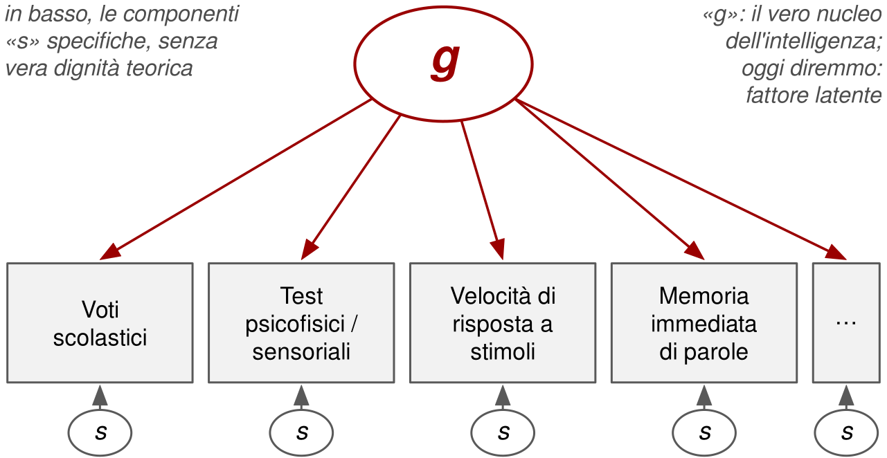 Un ovale con la lettera g in alto, da cui partono frecce verso cinque riquadri: voti scolastici, test psicofisici o sensoriali, velocità di risposta a stimoli, memoria immediata di parole e puntini di sospensione. Sotto ciascun riquadro un piccolo ovale s con una freccia verso il riquadro. Due note: g è il vero nucleo dell'intelligenza, in termini moderni un fattore latente; le componenti s sono specifiche e senza vera dignità teorica.