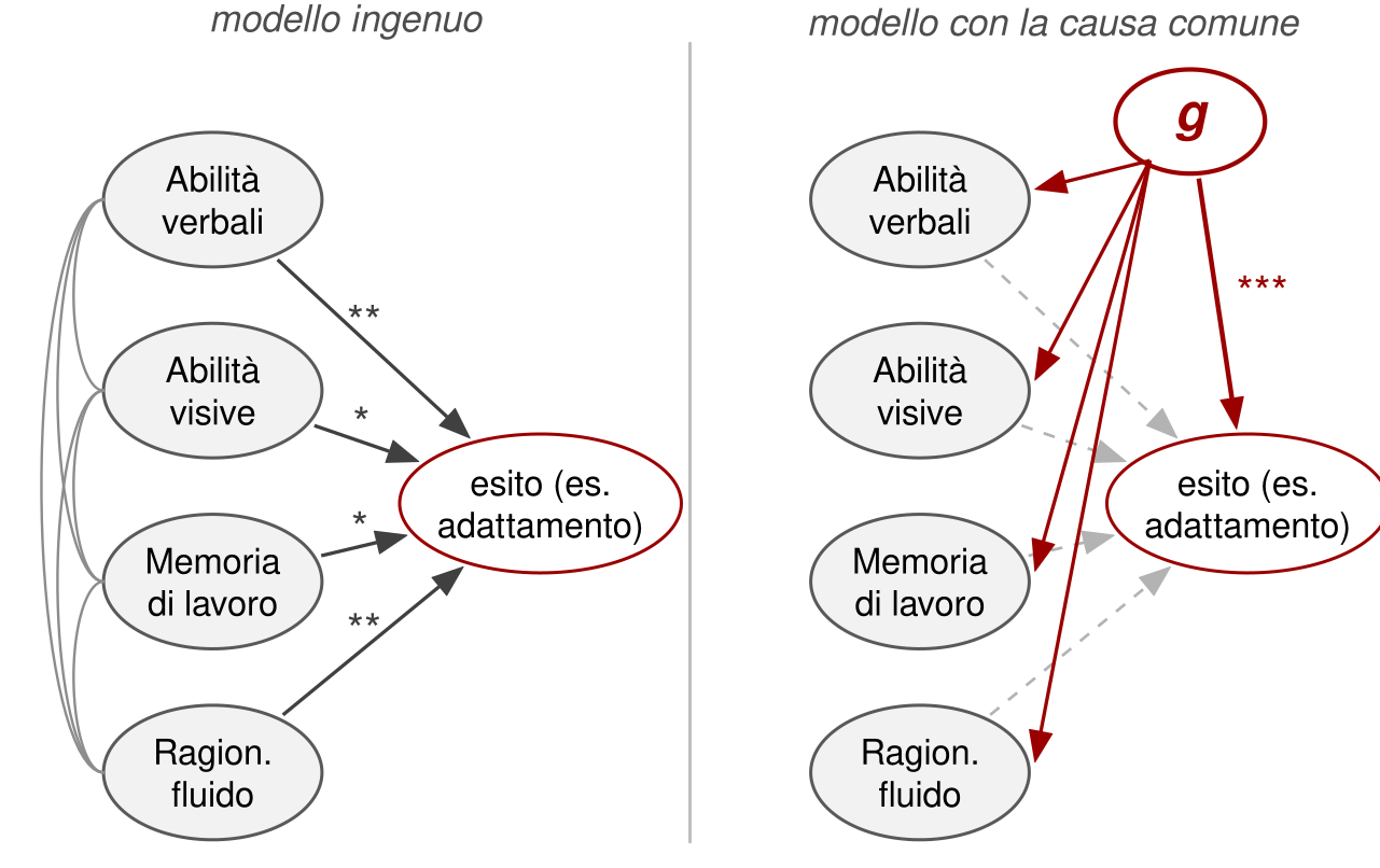 Due pannelli. Nel primo, intitolato modello ingenuo, quattro ovali, abilità verbali, abilità visive, memoria di lavoro e ragionamento fluido, sono collegati a coppie da archi, che indicano le correlazioni, e mandano ciascuno una freccia con asterischi verso un ovale esito, per esempio l'adattamento. Nel secondo, intitolato modello con la causa comune, un ovale g in alto manda frecce rosse verso le quattro abilità e verso l'esito, con tre asterischi; le frecce dalle abilità all'esito sono tratteggiate e chiare.