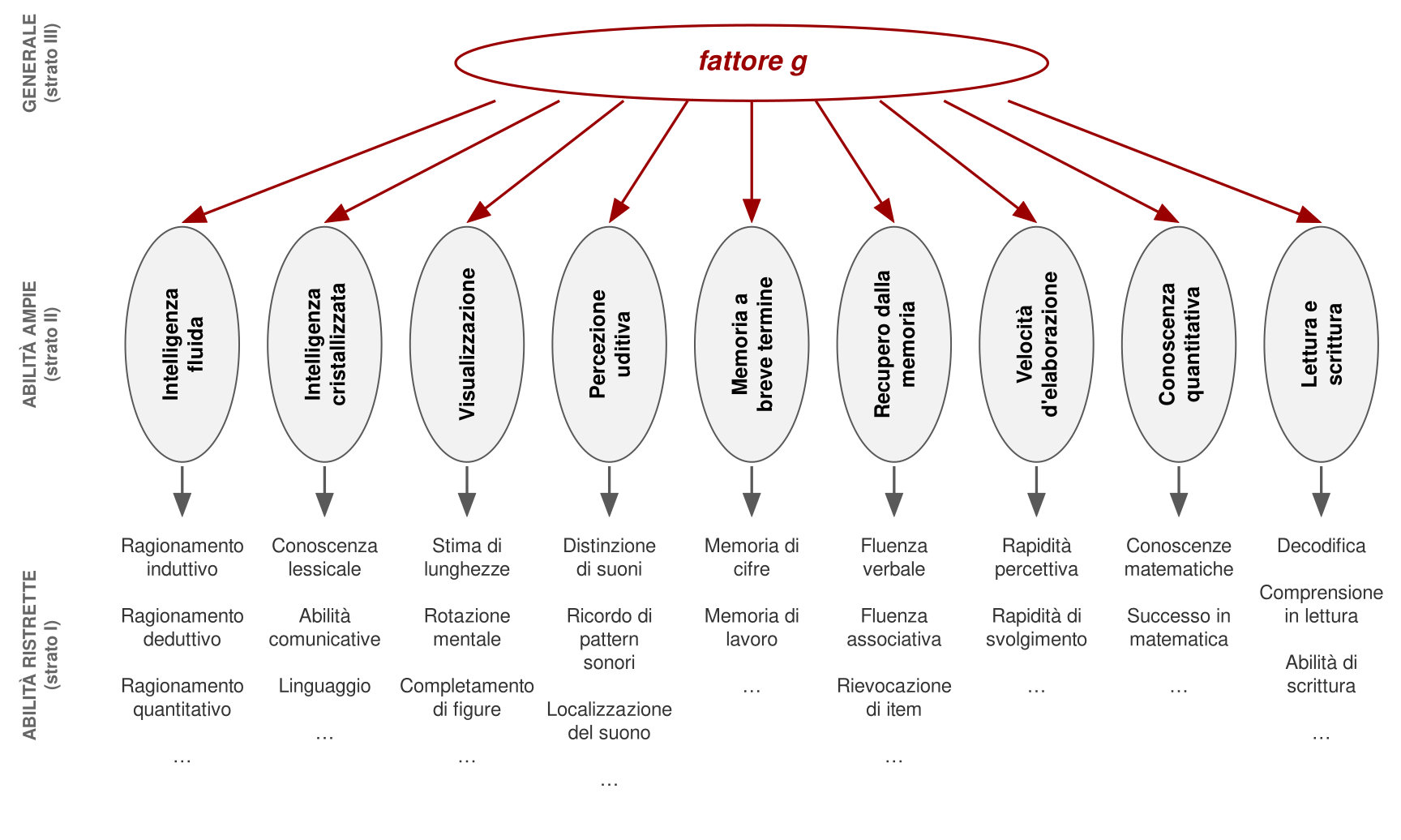 Diagramma a tre strati. In cima il fattore g; sotto, collegate a g, nove abilità ampie: intelligenza fluida, intelligenza cristallizzata, visualizzazione, percezione uditiva, memoria a breve termine, recupero dalla memoria, velocità di elaborazione, conoscenza quantitativa, lettura e scrittura. Sotto ciascuna, esempi di abilità ristrette, come ragionamento induttivo, conoscenza lessicale, rotazione mentale, distinzione di suoni, memoria di cifre, fluenza verbale, rapidità percettiva, conoscenze matematiche, comprensione in lettura.