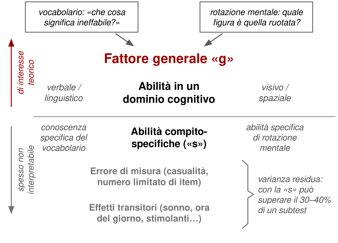 Schema a livelli sovrapposti. In alto due esempi di prova, vocabolario («che cosa significa ineffabile?») e rotazione mentale, con frecce verso il fattore generale g. Sotto: abilità in un dominio cognitivo, verbale o linguistico per la prima prova e visivo o spaziale per la seconda; poi una linea di separazione e le abilità specifiche del compito, conoscenza del vocabolario e abilità di rotazione mentale; più in basso, in grigio, errore di misura ed effetti transitori. A sinistra una freccia verso l'alto, di interesse teorico, e una verso il basso, spesso non interpretabile. Una graffa raccoglie gli ultimi due livelli con la nota: la varianza residua, insieme alla componente specifica s, può superare il 30-40% di un singolo subtest.