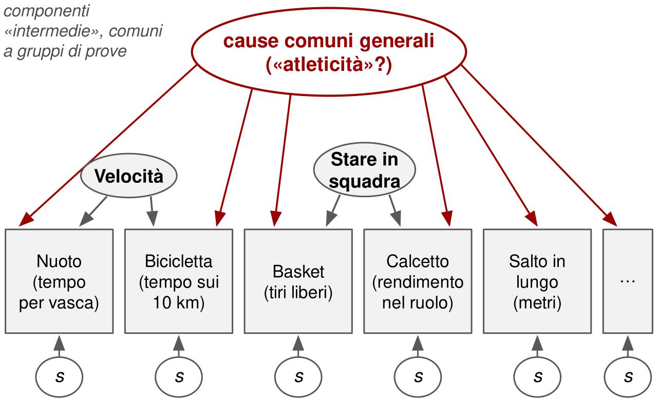 In alto un ovale, cause comuni generali, atleticità, con frecce verso sei riquadri: nuoto, bicicletta, basket, calcetto, salto in lungo e puntini. Due ovali intermedi: velocità, con frecce verso nuoto e bicicletta, e stare in squadra, con frecce verso basket e calcetto. Sotto ciascun riquadro un piccolo ovale s con una freccia verso il riquadro.