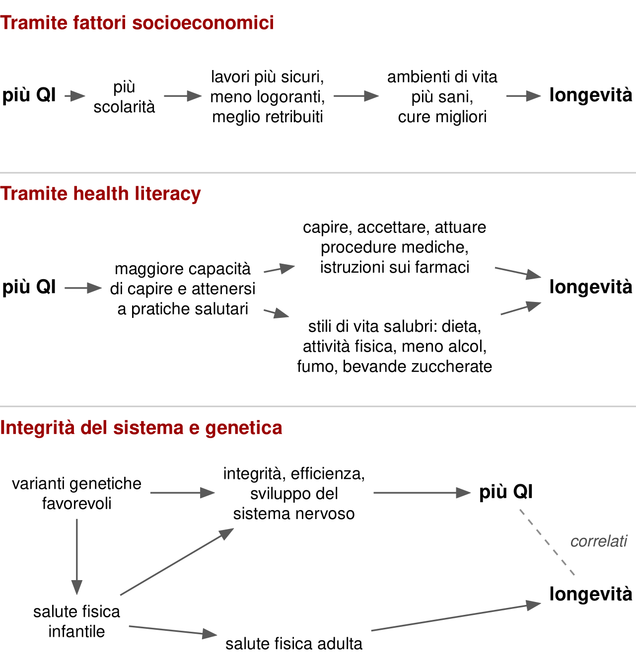 Tre schemi a frecce, uno sotto l'altro. Fattori socioeconomici: più QI, più scolarità, lavori più sicuri, meno logoranti e meglio retribuiti, ambienti di vita più sani e cure migliori, longevità. Health literacy: più QI porta a maggiore capacità di capire e attenersi a pratiche salutari, che si divide in due rami, capire e attuare procedure mediche e istruzioni sui farmaci, e attenersi a stili di vita salubri; entrambi portano alla longevità. Integrità del sistema e genetica: varianti genetiche favorevoli portano a integrità, efficienza e sviluppo del sistema nervoso, che porta a più QI; le varianti genetiche influenzano anche la salute fisica infantile, che influenza il sistema nervoso e la salute fisica adulta, che porta alla longevità. Una linea tratteggiata collega più QI e longevità.
