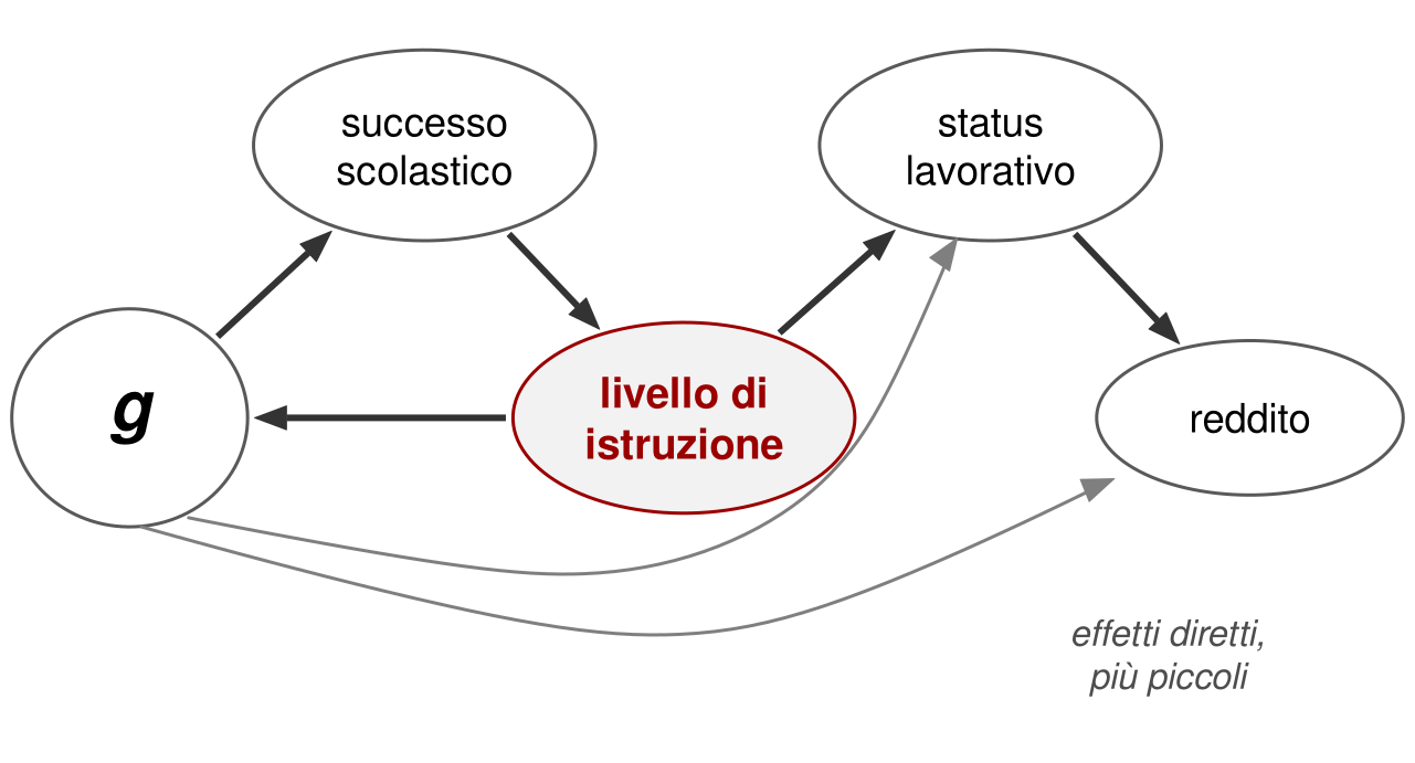 Cinque ovali. A sinistra g. In alto successo scolastico, poi in basso al centro livello di istruzione, evidenziato; in alto a destra status lavorativo, in basso a destra reddito. Frecce spesse: da g a successo scolastico, da successo scolastico a livello di istruzione, da livello di istruzione di nuovo a g, da livello di istruzione a status lavorativo, da status lavorativo a reddito. Due frecce sottili grigie partono da g, passano sotto il diagramma e arrivano a status lavorativo e a reddito.